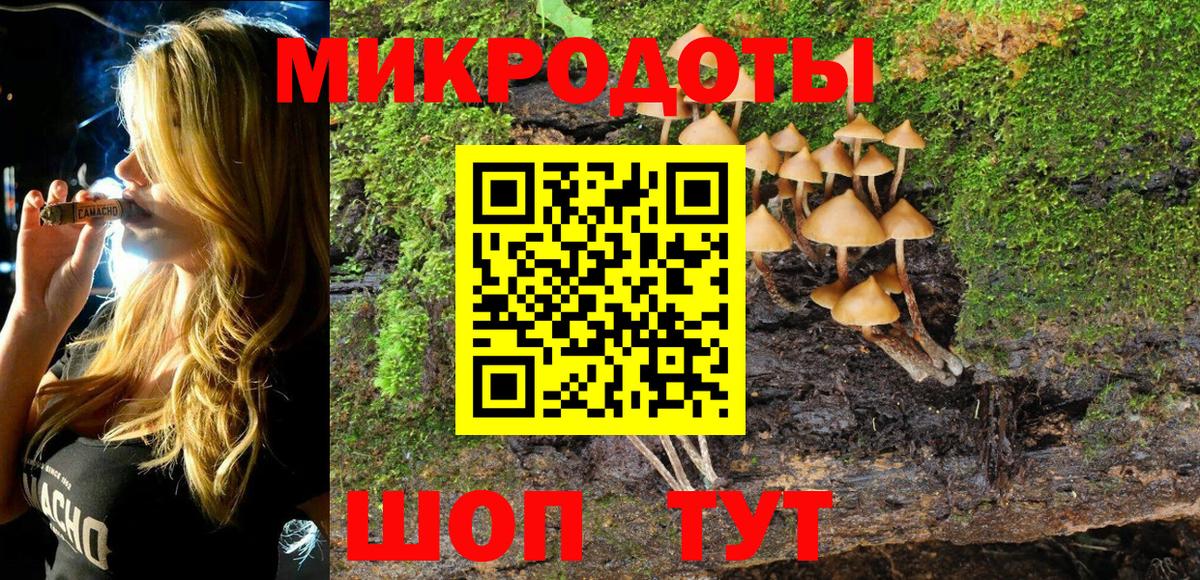 дарнет шоп  Псилоцибиновые грибы ЛСД  Вход с VPN  Гусиноозёрск 