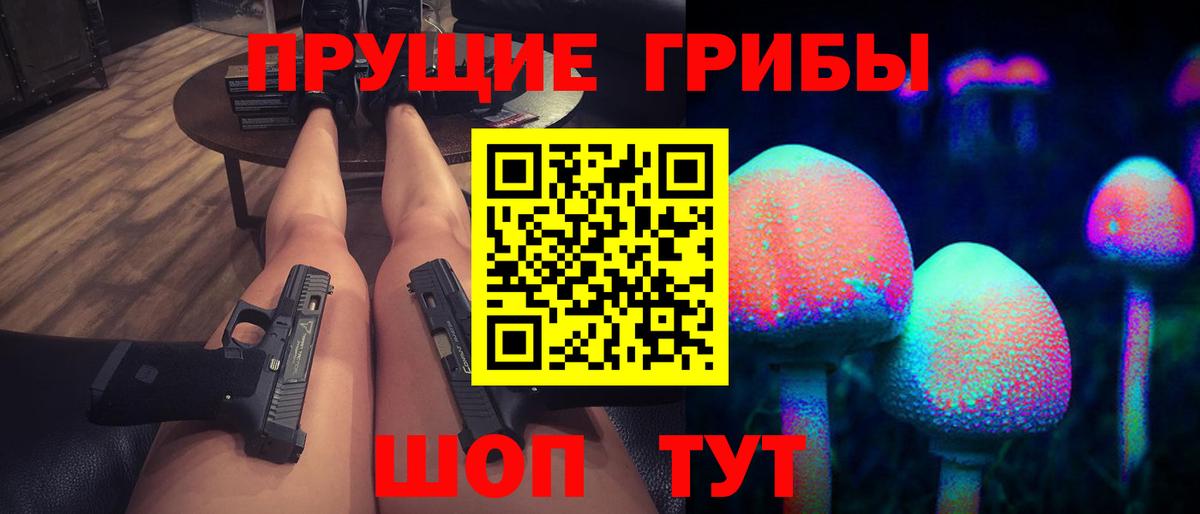 Галлюциногенные грибы Psilocybe Гусиноозёрск