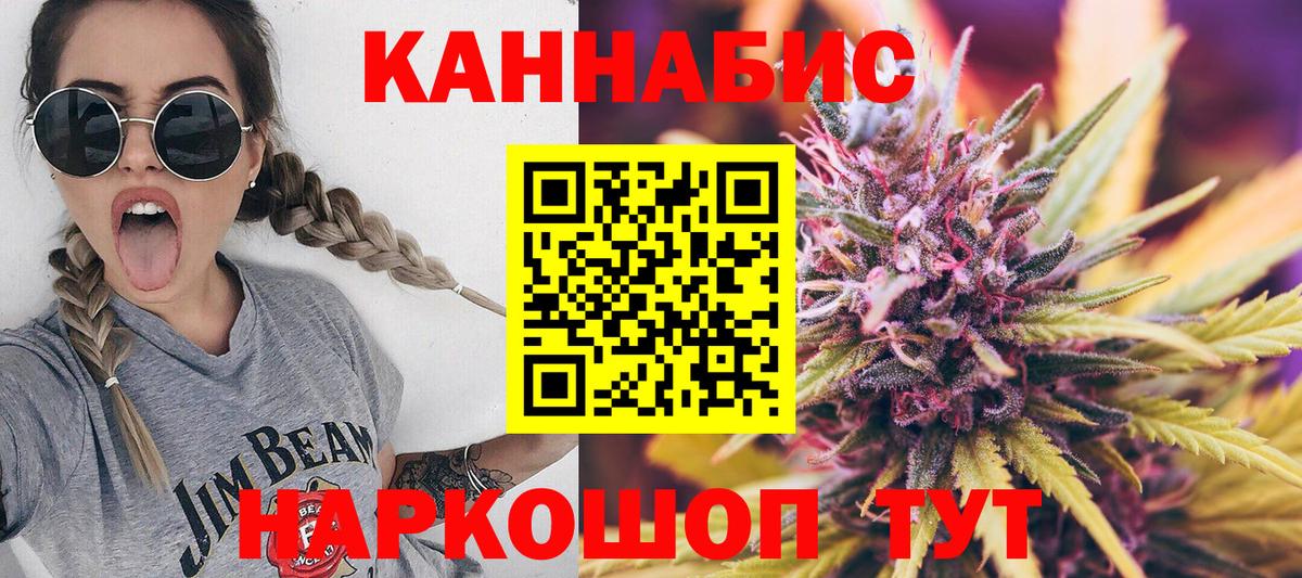 Шишки марихуана планчик Гусиноозёрск